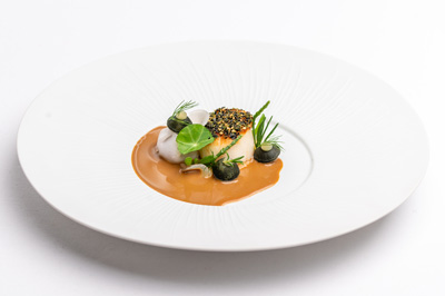 Michelin Star Scallops Starter Sola